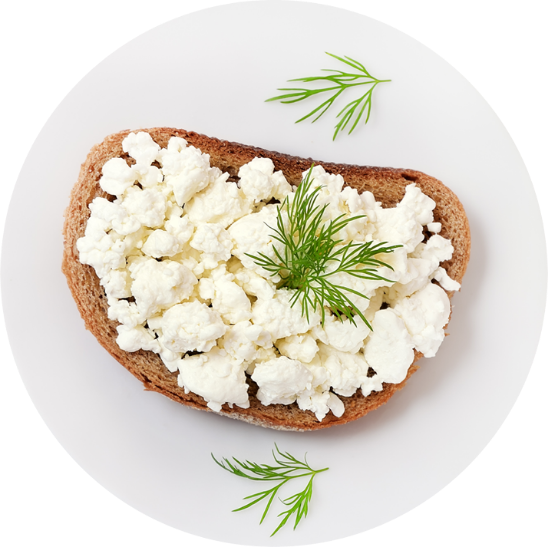 Ricotta and fresh cheese